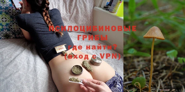 PSILOCYBIN Богородицк